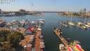 ./images/victoria/wharf/20190807/wharf20190807_134950.jpg