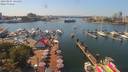 ./images/victoria/wharf/20190807/wharf20190807_141456.jpg