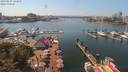 ./images/victoria/wharf/20190807/wharf20190807_143950.jpg