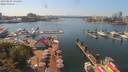 ./images/victoria/wharf/20190807/wharf20190807_144453.jpg