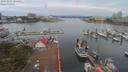 ./images/victoria/wharf/20190809/wharf20190809_085453.jpg