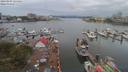 ./images/victoria/wharf/20190809/wharf20190809_124455.jpg