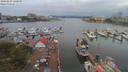 ./images/victoria/wharf/20190809/wharf20190809_130950.jpg