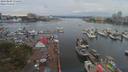 ./images/victoria/wharf/20190809/wharf20190809_174455.jpg