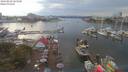 ./images/victoria/wharf/20190810/wharf20190810_164949.jpg