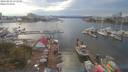 ./images/victoria/wharf/20190810/wharf20190810_171958.jpg