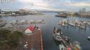 ./images/victoria/wharf/20190811/wharf20190811_065453.jpg