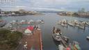 ./images/victoria/wharf/20190811/wharf20190811_072954.jpg