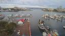 ./images/victoria/wharf/20190811/wharf20190811_073950.jpg