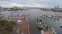 ./images/victoria/wharf/20190811/wharf20190811_081453.jpg