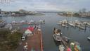 ./images/victoria/wharf/20190811/wharf20190811_091452.jpg