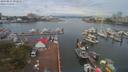 ./images/victoria/wharf/20190811/wharf20190811_091956.jpg