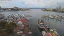 ./images/victoria/wharf/20190811/wharf20190811_114958.jpg