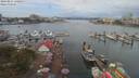 ./images/victoria/wharf/20190811/wharf20190811_120457.jpg