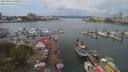 ./images/victoria/wharf/20190811/wharf20190811_122954.jpg