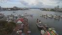 ./images/victoria/wharf/20190811/wharf20190811_125952.jpg