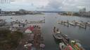 ./images/victoria/wharf/20190811/wharf20190811_132457.jpg