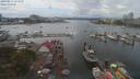./images/victoria/wharf/20190811/wharf20190811_133956.jpg