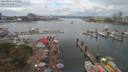 ./images/victoria/wharf/20190811/wharf20190811_141458.jpg