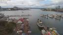 ./images/victoria/wharf/20190811/wharf20190811_144456.jpg