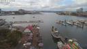./images/victoria/wharf/20190811/wharf20190811_144949.jpg