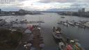 ./images/victoria/wharf/20190811/wharf20190811_164954.jpg