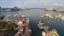 ./images/victoria/wharf/20190812/wharf20190812_110951.jpg