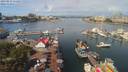 ./images/victoria/wharf/20190812/wharf20190812_111454.jpg