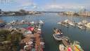 ./images/victoria/wharf/20190812/wharf20190812_120453.jpg