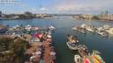 ./images/victoria/wharf/20190812/wharf20190812_121950.jpg