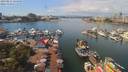 ./images/victoria/wharf/20190812/wharf20190812_124958.jpg