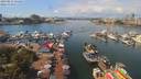./images/victoria/wharf/20190812/wharf20190812_125451.jpg