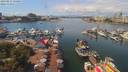 ./images/victoria/wharf/20190812/wharf20190812_125954.jpg