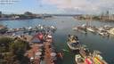 ./images/victoria/wharf/20190812/wharf20190812_134451.jpg