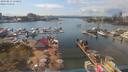 ./images/victoria/wharf/20190812/wharf20190812_150950.jpg