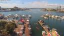 ./images/victoria/wharf/20190813/wharf20190813_135954.jpg