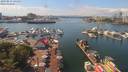 ./images/victoria/wharf/20190813/wharf20190813_141957.jpg