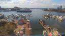 ./images/victoria/wharf/20190813/wharf20190813_150957.jpg