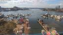 ./images/victoria/wharf/20190813/wharf20190813_151953.jpg