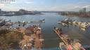 ./images/victoria/wharf/20190813/wharf20190813_153956.jpg