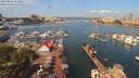 ./images/victoria/wharf/20190814/wharf20190814_111950.jpg