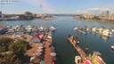 ./images/victoria/wharf/20190814/wharf20190814_124952.jpg
