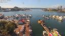 ./images/victoria/wharf/20190814/wharf20190814_142950.jpg