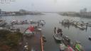 ./images/victoria/wharf/20190823/wharf20190823_085459.jpg