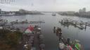 ./images/victoria/wharf/20190823/wharf20190823_103952.jpg