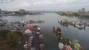 ./images/victoria/wharf/20190823/wharf20190823_120954.jpg