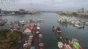 ./images/victoria/wharf/20190823/wharf20190823_121457.jpg
