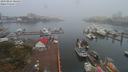 ./images/victoria/wharf/20190824/wharf20190824_084457.jpg