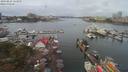 ./images/victoria/wharf/20190824/wharf20190824_113951.jpg