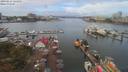 ./images/victoria/wharf/20190824/wharf20190824_121452.jpg